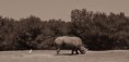 /album/nature-/dsc-0038-jpg/